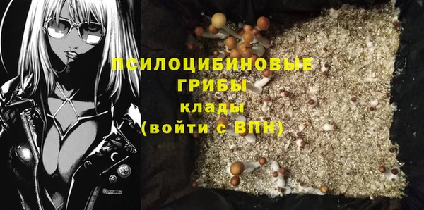 меф Гусь-Хрустальный