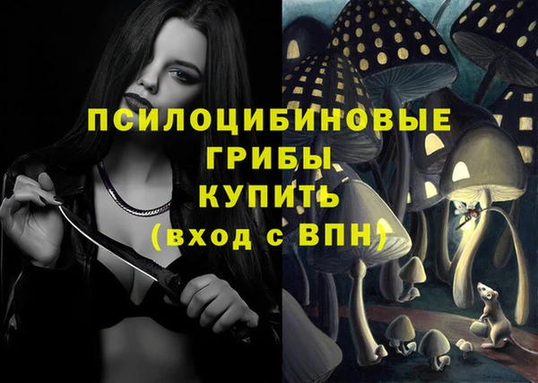меф Гусев