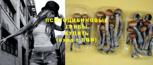 меф Гусев