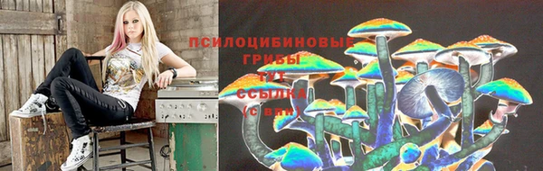 МДПВ Гусиноозёрск